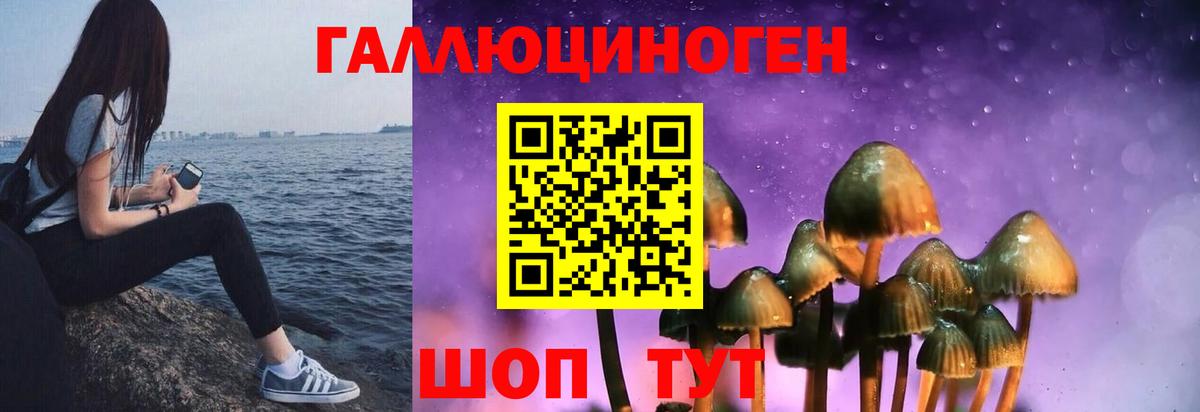 Галлюциногенные грибы ЛСД Моздок