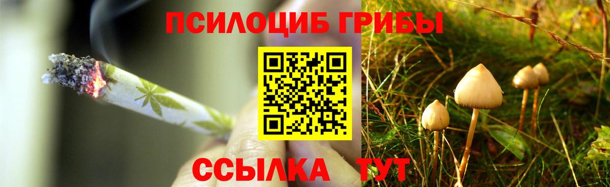 Галлюциногенные грибы Cubensis  Вход с VPN  Галлюциногенные грибы Cubensis  Моздок 